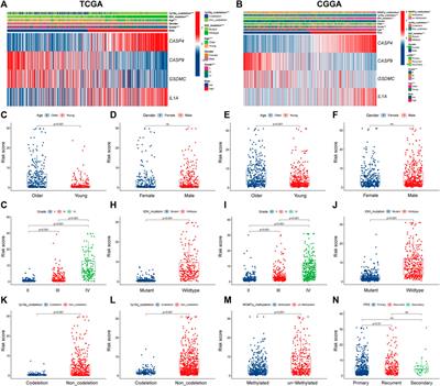 Pyroptosis-Related Gene Signature Predicts Prognosis and Indicates Immune Microenvironment Infiltration in Glioma